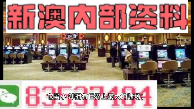 2024新澳精准资料免费提供下载，详细解答解释落实_i109.49.19